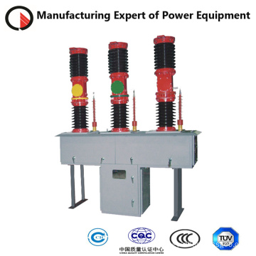 Vacuum Circuit Breaker for High Voltage Outdoor (ZW8-40.5)